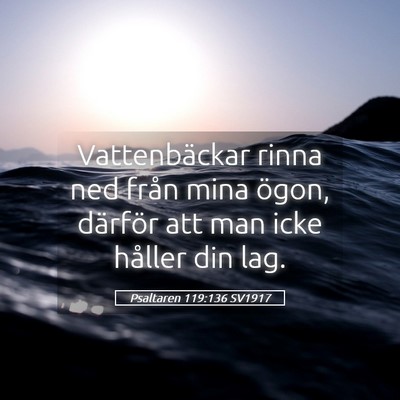 Picture 05 - Psaltaren 119:136 SV1917 - Vattenbäckar rinna ned från mina ögon, - Bible Verse Picture