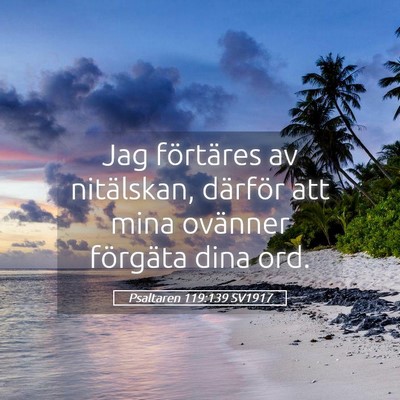 Picture 05 - Psaltaren 119:139 SV1917 - Jag förtäres av nitälskan, därför att mina - Bible Verse Picture