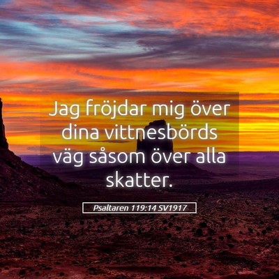 Picture 05 - Psaltaren 119:14 SV1917 - Jag fröjdar mig över dina vittnesbörds väg - Bible Verse Picture