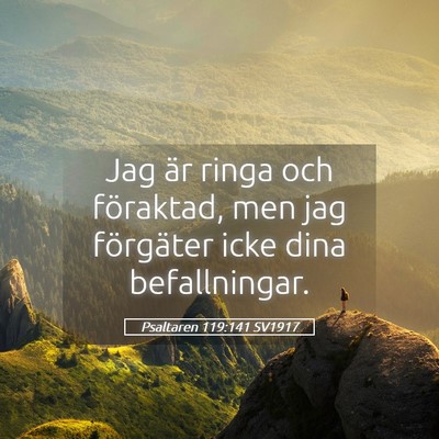 Picture 05 - Psaltaren 119:141 SV1917 - Jag är ringa och föraktad, men jag förgäter - Bible Verse Picture