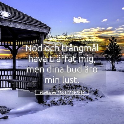 Picture 05 - Psaltaren 119:143 SV1917 - Nöd och trångmål hava träffat mig, men dina - Bible Verse Picture
