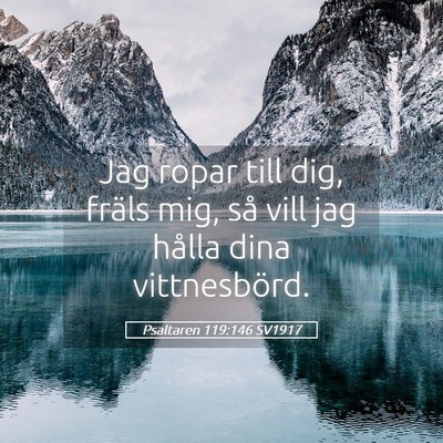 Picture 05 - Psaltaren 119:146 SV1917 - Jag ropar till dig, fräls mig, så vill jag - Bible Verse Picture