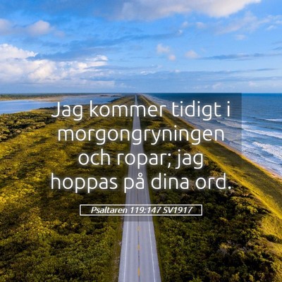 Picture 05 - Psaltaren 119:147 SV1917 - Jag kommer tidigt i morgongryningen och ropar; - Bible Verse Picture