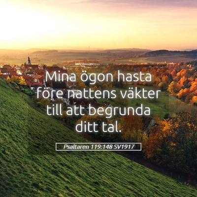 Picture 05 - Psaltaren 119:148 SV1917 - Mina ögon hasta före nattens väkter till att - Bible Verse Picture