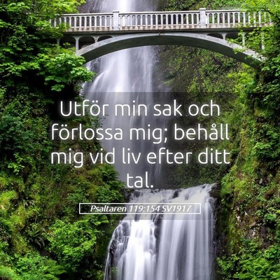 Picture 05 - Psaltaren 119:154 SV1917 - Utför min sak och förlossa mig; behåll mig vid - Bible Verse Picture