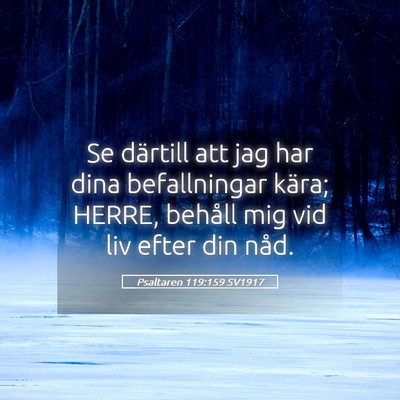Picture 05 - Psaltaren 119:159 SV1917 - Se därtill att jag har dina befallningar kära; - Bible Verse Picture