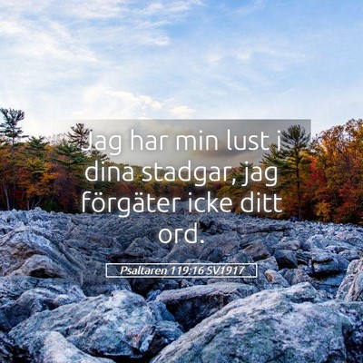 Picture 05 - Psaltaren 119:16 SV1917 - Jag har min lust i dina stadgar, jag förgäter - Bible Verse Picture