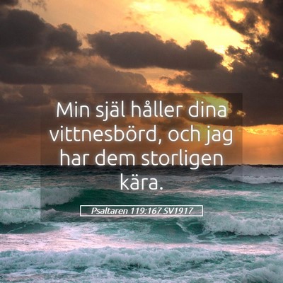 Picture 05 - Psaltaren 119:167 SV1917 - Min själ håller dina vittnesbörd, och jag har - Bible Verse Picture