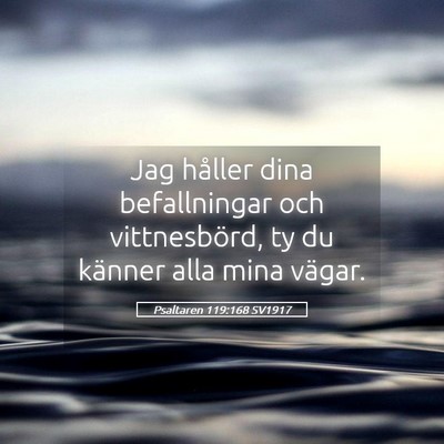 Picture 05 - Psaltaren 119:168 SV1917 - Jag håller dina befallningar och vittnesbörd, - Bible Verse Picture