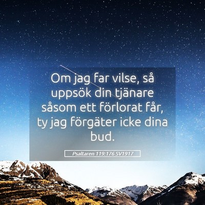 Picture 05 - Psaltaren 119:176 SV1917 - Om jag far vilse, så uppsök din tjänare såsom - Bible Verse Picture