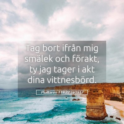 Picture 05 - Psaltaren 119:22 SV1917 - Tag bort ifrån mig smälek och förakt, ty jag - Bible Verse Picture