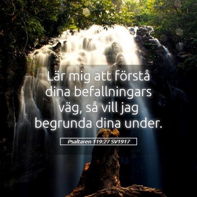 Picture 05 - Psaltaren 119:27 SV1917 - Lär mig att förstå dina befallningars väg, - Bible Verse Picture