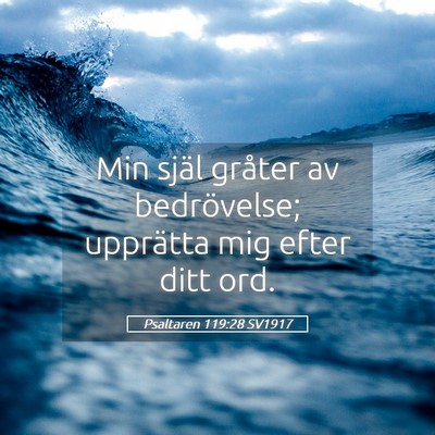 Picture 05 - Psaltaren 119:28 SV1917 - Min själ gråter av bedrövelse; upprätta mig - Bible Verse Picture
