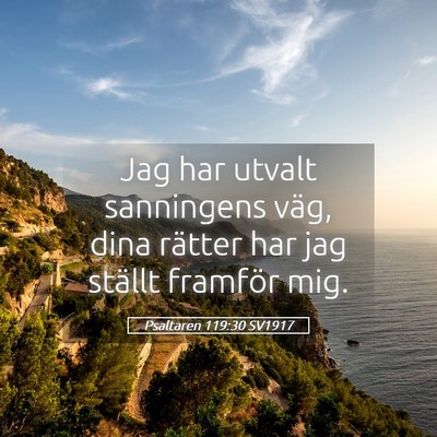 Picture 05 - Psaltaren 119:30 SV1917 - Jag har utvalt sanningens väg, dina rätter har - Bible Verse Picture