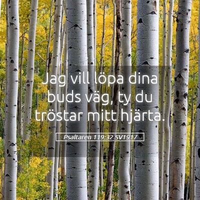 Picture 05 - Psaltaren 119:32 SV1917 - Jag vill löpa dina buds väg, ty du tröstar - Bible Verse Picture