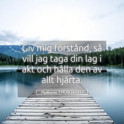 Picture 05 - Psaltaren 119:34 SV1917 - Giv mig förstånd, så vill jag taga din lag i - Bible Verse Picture