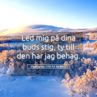 Picture 05 - Psaltaren 119:35 SV1917 - Led mig på dina buds stig, ty till den har jag - Bible Verse Picture