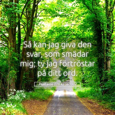 Picture 05 - Psaltaren 119:42 SV1917 - Så kan jag giva den svar, som smädar mig; ty - Bible Verse Picture