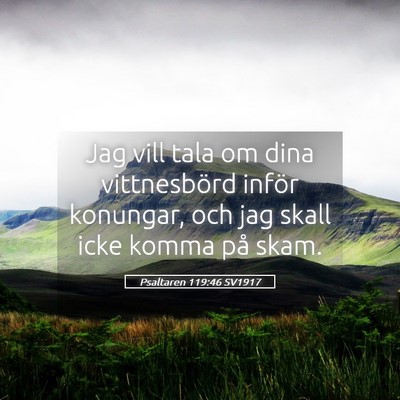 Picture 05 - Psaltaren 119:46 SV1917 - Jag vill tala om dina vittnesbörd inför - Bible Verse Picture