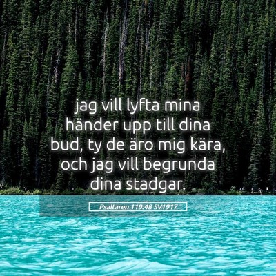Picture 05 - Psaltaren 119:48 SV1917 - jag vill lyfta mina händer upp till dina bud, ty - Bible Verse Picture
