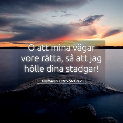Picture 05 - Psaltaren 119:5 SV1917 - O att mina vägar vore rätta, så att jag hölle - Bible Verse Picture