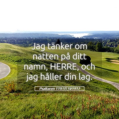 Picture 05 - Psaltaren 119:55 SV1917 - Jag tänker om natten på ditt namn, HERRE, och - Bible Verse Picture