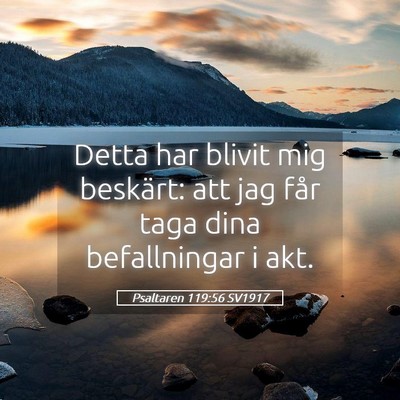 Picture 05 - Psaltaren 119:56 SV1917 - Detta har blivit mig beskärt: att jag får taga - Bible Verse Picture