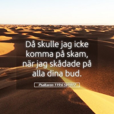 Picture 05 - Psaltaren 119:6 SV1917 - Då skulle jag icke komma på skam, när jag - Bible Verse Picture