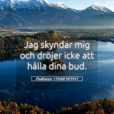 Picture 05 - Psaltaren 119:60 SV1917 - Jag skyndar mig och dröjer icke att hålla dina - Bible Verse Picture