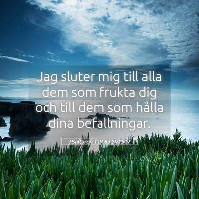 Picture 05 - Psaltaren 119:63 SV1917 - Jag sluter mig till alla dem som frukta dig och - Bible Verse Picture