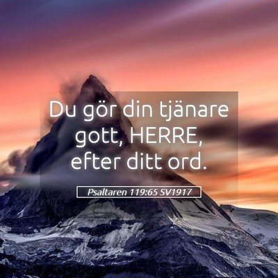 Picture 05 - Psaltaren 119:65 SV1917 - Du gör din tjänare gott, HERRE, efter ditt - Bible Verse Picture