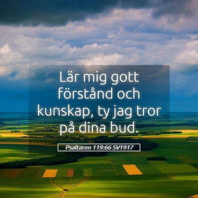 Picture 05 - Psaltaren 119:66 SV1917 - Lär mig gott förstånd och kunskap, ty jag tror - Bible Verse Picture