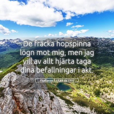 Picture 05 - Psaltaren 119:69 SV1917 - De fräcka hopspinna lögn mot mig, men jag vill - Bible Verse Picture