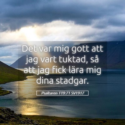 Picture 05 - Psaltaren 119:71 SV1917 - Det var mig gott att jag vart tuktad, så att jag - Bible Verse Picture