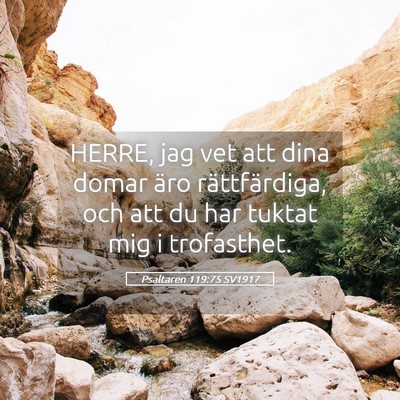 Picture 05 - Psaltaren 119:75 SV1917 - HERRE, jag vet att dina domar äro rättfärdiga, - Bible Verse Picture