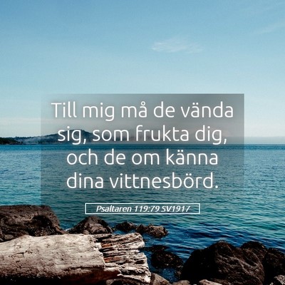 Picture 05 - Psaltaren 119:79 SV1917 - Till mig må de vända sig, som frukta dig, och - Bible Verse Picture