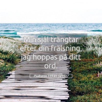 Picture 05 - Psaltaren 119:81 SV1917 - Min själ trängtar efter din frälsning, jag - Bible Verse Picture