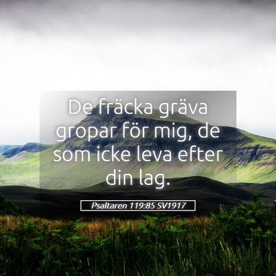 Picture 05 - Psaltaren 119:85 SV1917 - De fräcka gräva gropar för mig, de som icke - Bible Verse Picture