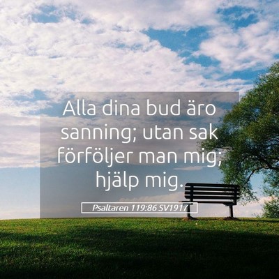 Picture 05 - Psaltaren 119:86 SV1917 - Alla dina bud äro sanning; utan sak förföljer - Bible Verse Picture
