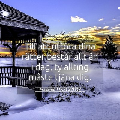 Picture 05 - Psaltaren 119:91 SV1917 - Till att utföra dina rätter består allt än i - Bible Verse Picture