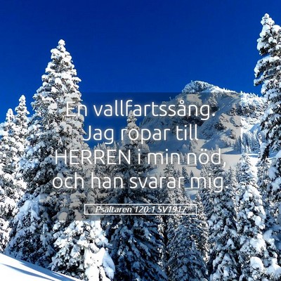Picture 05 - Psaltaren 120:1 SV1917 - En vallfartssång. Jag ropar till HERREN i min - Bible Verse Picture