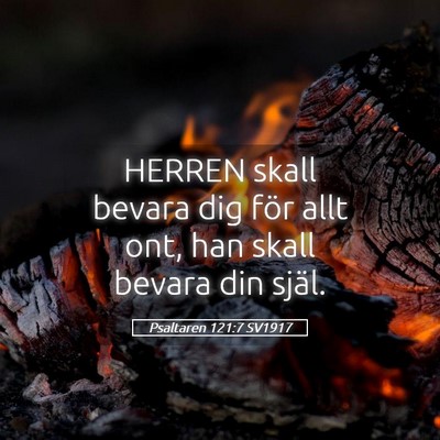 Picture 05 - Psaltaren 121:7 SV1917 - HERREN skall bevara dig för allt ont, han skall - Bible Verse Picture