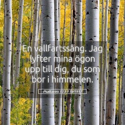 Picture 05 - Psaltaren 123:1 SV1917 - En vallfartssång. Jag lyfter mina ögon upp till - Bible Verse Picture