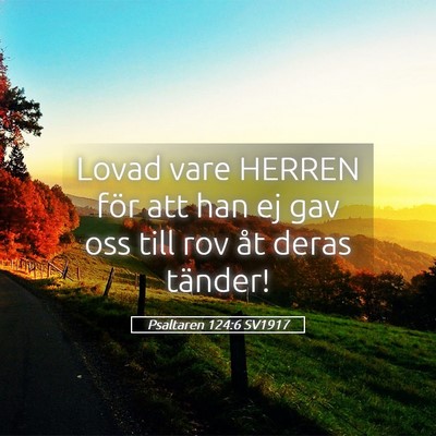 Picture 05 - Psaltaren 124:6 SV1917 - Lovad vare HERREN för att han ej gav oss till - Bible Verse Picture