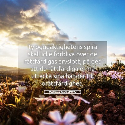 Picture 05 - Psaltaren 125:3 SV1917 - Ty ogudaktighetens spira skall icke förbliva - Bible Verse Picture