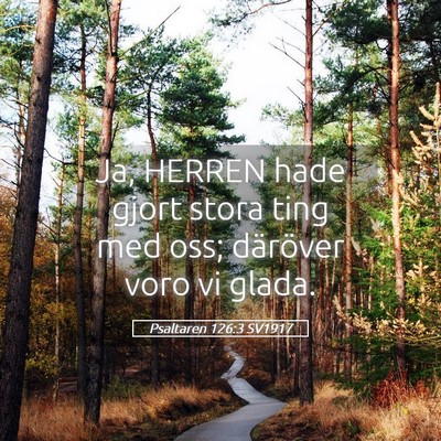 Picture 05 - Psaltaren 126:3 SV1917 - Ja, HERREN hade gjort stora ting med oss; - Bible Verse Picture