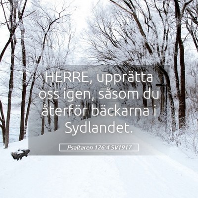 Picture 05 - Psaltaren 126:4 SV1917 - HERRE, upprätta oss igen, såsom du återför - Bible Verse Picture