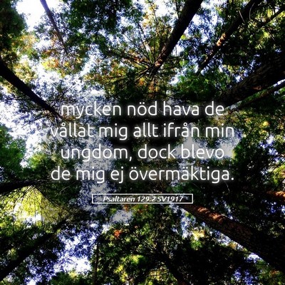 Picture 05 - Psaltaren 129:2 SV1917 - mycken nöd hava de vållat mig allt ifrån min - Bible Verse Picture
