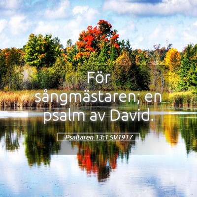 Picture 05 - Psaltaren 13:1 SV1917 - För sångmästaren; en psalm av - Bible Verse Picture