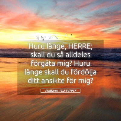 Picture 05 - Psaltaren 13:2 SV1917 - Huru länge, HERRE; skall du så alldeles - Bible Verse Picture